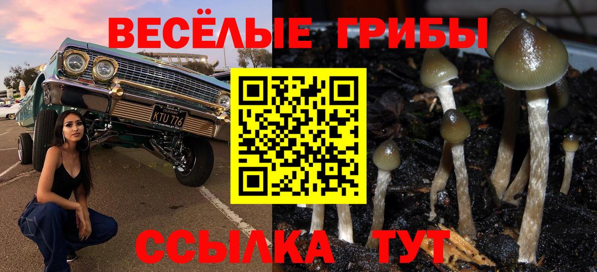 Галлюциногенные грибы мухоморы Учалы